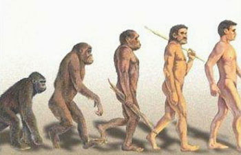 EVOLUCIÓN, INVOLUCIÓN, REVOLUCIÓN - dogma de evolution