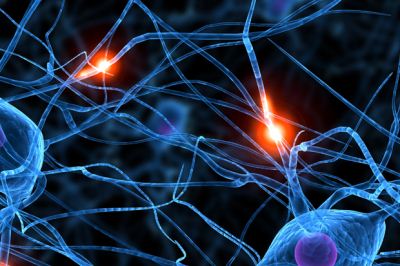 Ingerek a neuronokban